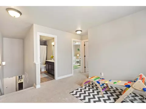 158 Veronica Dr, Windsor, CO 80550 photo 22