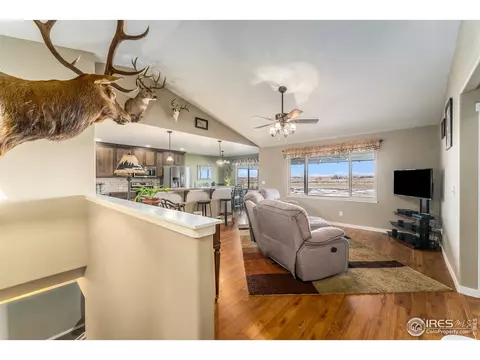 1201 7th St, Pierce, CO 80650 photo 5