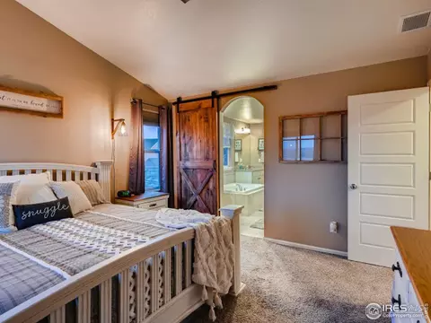 2131 Longfin Ct, Windsor, CO 80550 photo 22