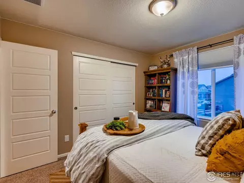 2131 Longfin Ct, Windsor, CO 80550 photo 28