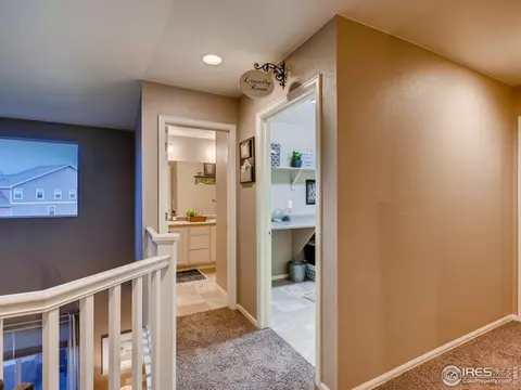 2131 Longfin Ct, Windsor, CO 80550 photo 31