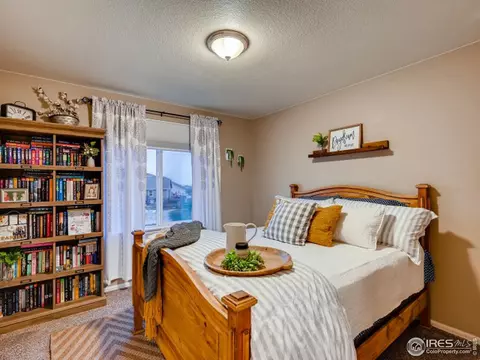 2131 Longfin Ct, Windsor, CO 80550 photo 27