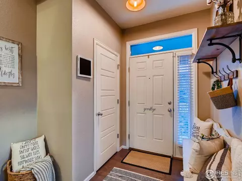 2131 Longfin Ct, Windsor, CO 80550 photo 5