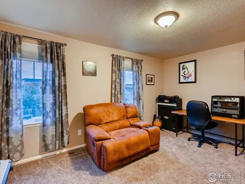 2131 Longfin Ct, Windsor, CO 80550 photo 29