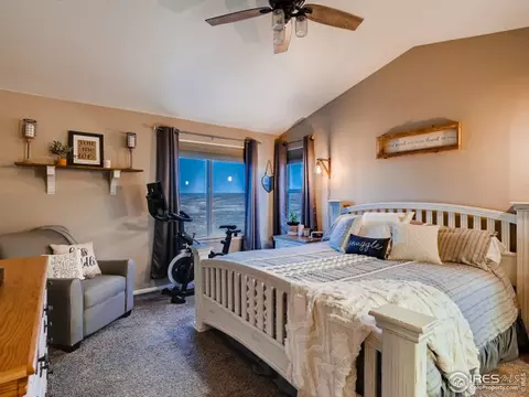 2131 Longfin Ct, Windsor, CO 80550 photo 20