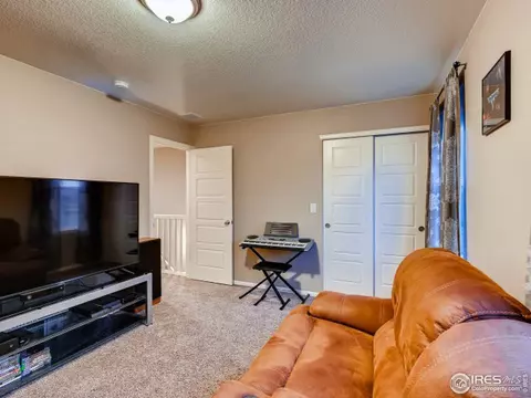 2131 Longfin Ct, Windsor, CO 80550 photo 30