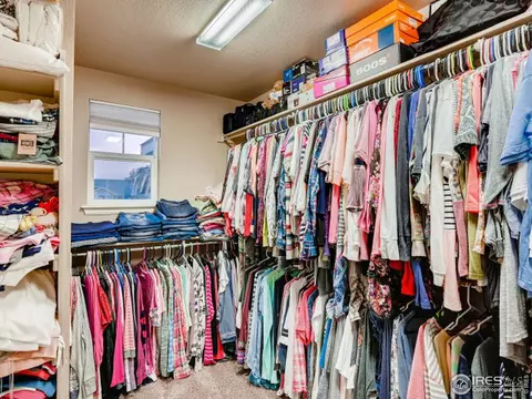 2131 Longfin Ct, Windsor, CO 80550 photo 26