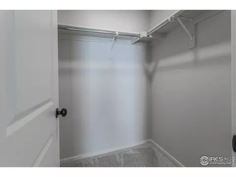 5183 Beckworth St, Timnath, CO 80547 photo 28