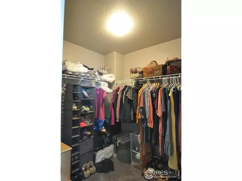 557 Capitol Reef Ct, Berthoud, CO 80513 photo 22