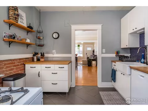523 E 2nd Ave, Denver, CO 80203 photo 10