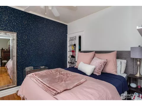 523 E 2nd Ave, Denver, CO 80203 photo 12