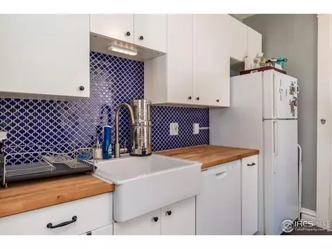 523 E 2nd Ave, Denver, CO 80203 photo 8