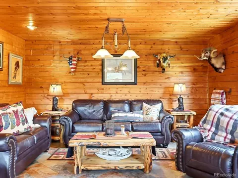 Living - 325 Road D, Pine, CO 80470 photo 2 of 3
