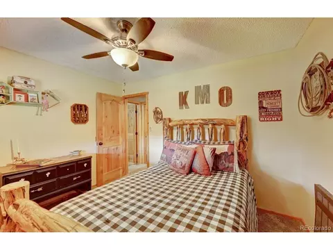 Bedroom - 325 Road D, Pine, CO 80470 photo 5 of 6