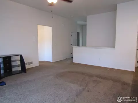 570 Cherryridge Dr, Windsor, CO 80550 photo 7