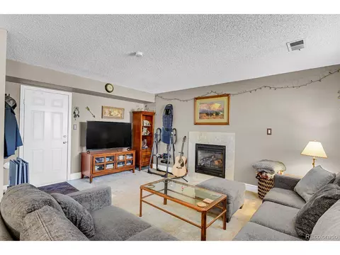 4738 S Ward Way, Morrison, CO 80465 photo 19