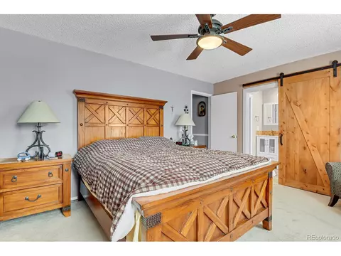 4738 S Ward Way, Morrison, CO 80465 photo 11