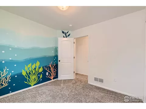 237 Castle Dr, Severance, CO 80550 photo 22