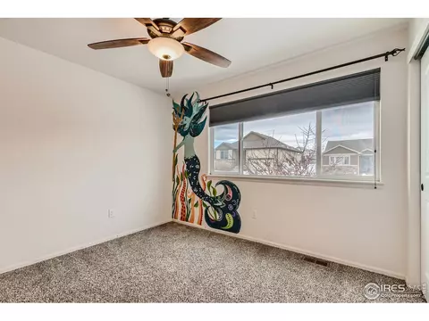 237 Castle Dr, Severance, CO 80550 photo 24