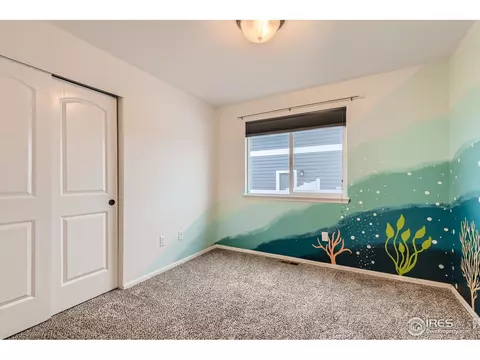 237 Castle Dr, Severance, CO 80550 photo 21