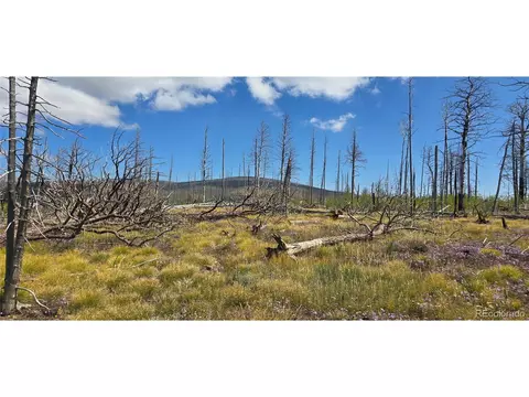 1242 Granville Loop, Fort Garland, CO 81133