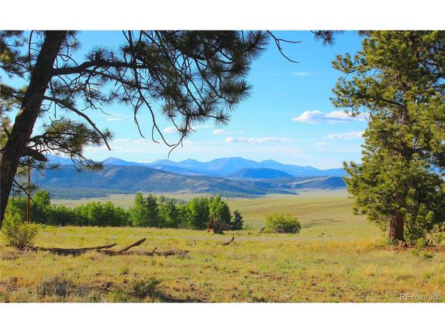 4180 Singletree Rd, Hartsel, CO 80449