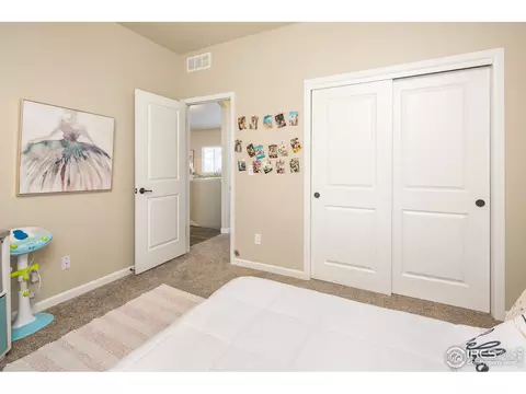 3617 Rialto Ave, Evans, CO 80620 photo 20