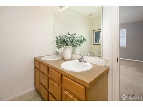 109 Keystone Dr, Severance, CO 80550 photo 22