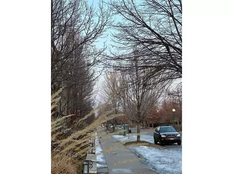 8180 E 29th Ave, Denver, CO 80238 photo 38