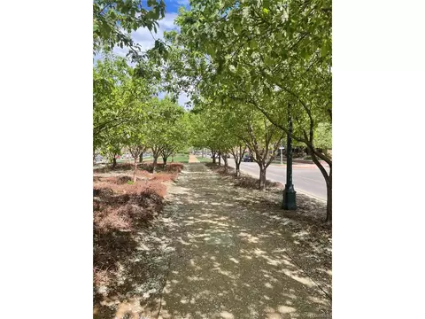 8180 E 29th Ave, Denver, CO 80238 photo 32