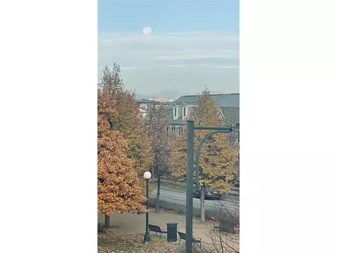 8180 E 29th Ave, Denver, CO 80238 photo 35