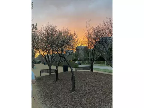 8180 E 29th Ave, Denver, CO 80238 photo 36