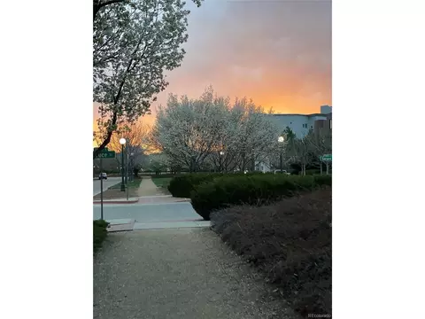 8180 E 29th Ave, Denver, CO 80238 photo 37