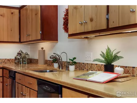 898 Pioneer Rd, Lyons, CO 80540 photo 10