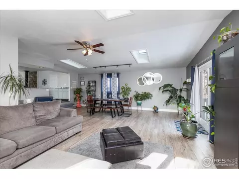813 Table Mountain Ct, Windsor, CO 80550 photo 12