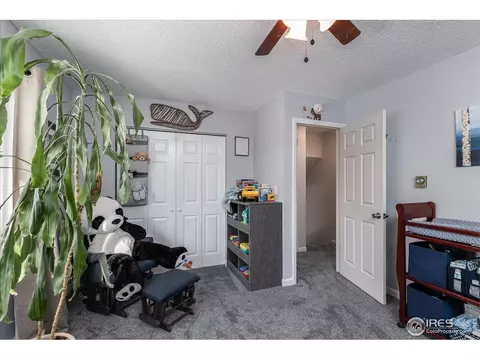 813 Table Mountain Ct, Windsor, CO 80550 photo 23