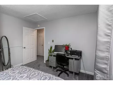 813 Table Mountain Ct, Windsor, CO 80550 photo 21