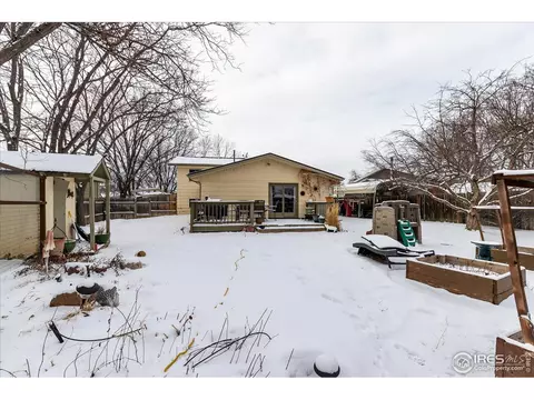 813 Table Mountain Ct, Windsor, CO 80550 photo 24