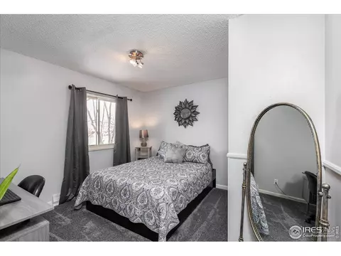 813 Table Mountain Ct, Windsor, CO 80550 photo 20