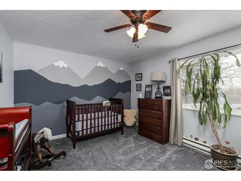 813 Table Mountain Ct, Windsor, CO 80550 photo 22