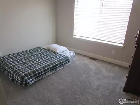 6121 Greybull Rd, Timnath, CO 80547 photo 24
