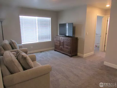 6121 Greybull Rd, Timnath, CO 80547 photo 16