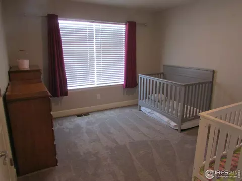 6121 Greybull Rd, Timnath, CO 80547 photo 22
