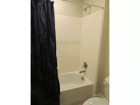 6121 Greybull Rd, Timnath, CO 80547 photo 27