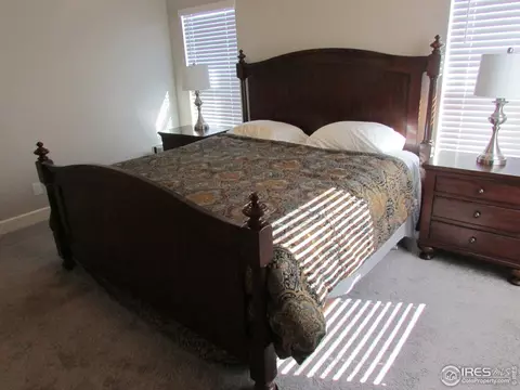 6121 Greybull Rd, Timnath, CO 80547 photo 18