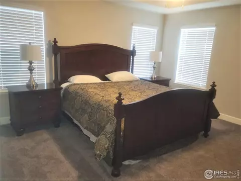 6121 Greybull Rd, Timnath, CO 80547 photo 17