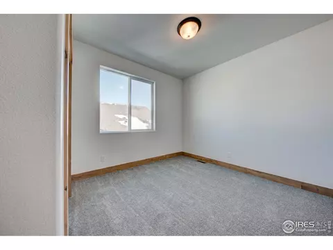 5273 Cloud Dance Dr, Timnath, CO 80547 photo 30