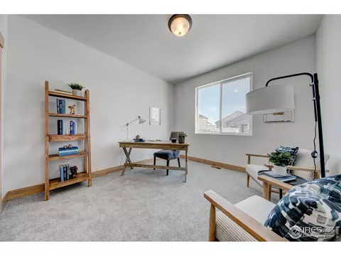 5273 Cloud Dance Dr, Timnath, CO 80547 photo 24