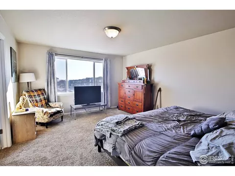 1625 First Light Dr, Windsor, CO 80550 photo 21