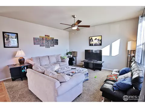 1625 First Light Dr, Windsor, CO 80550 photo 13